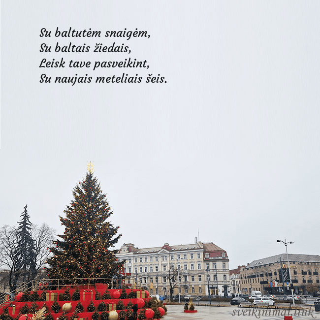 Vilniaus kalėdinė eglutė 2025