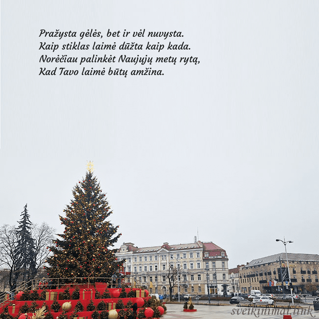 Vilniaus kalėdinė eglutė 2025