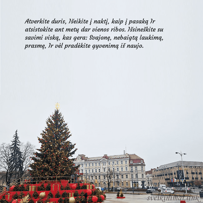 Vilniaus kalėdinė eglutė 2025
