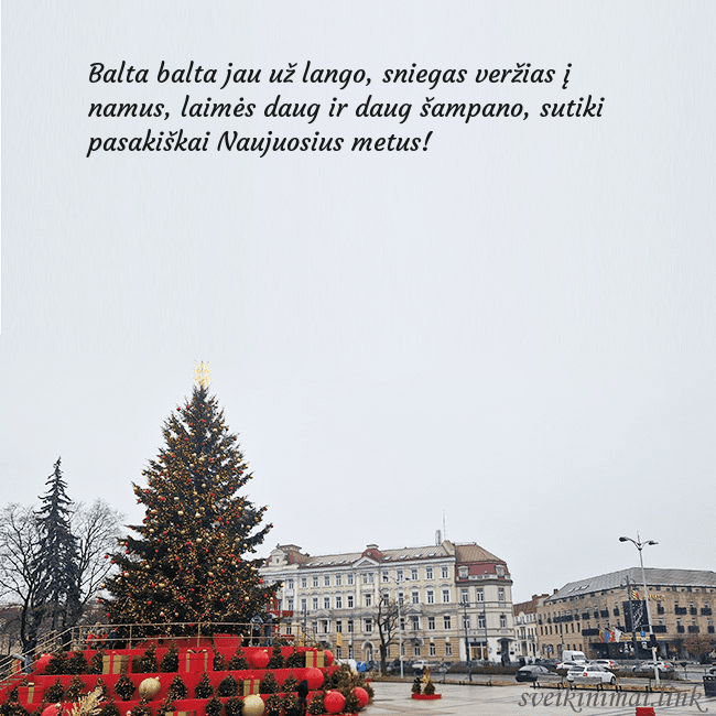 Vilniaus kalėdinė eglutė 2025