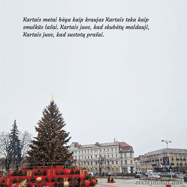 Vilniaus kalėdinė eglutė 2025