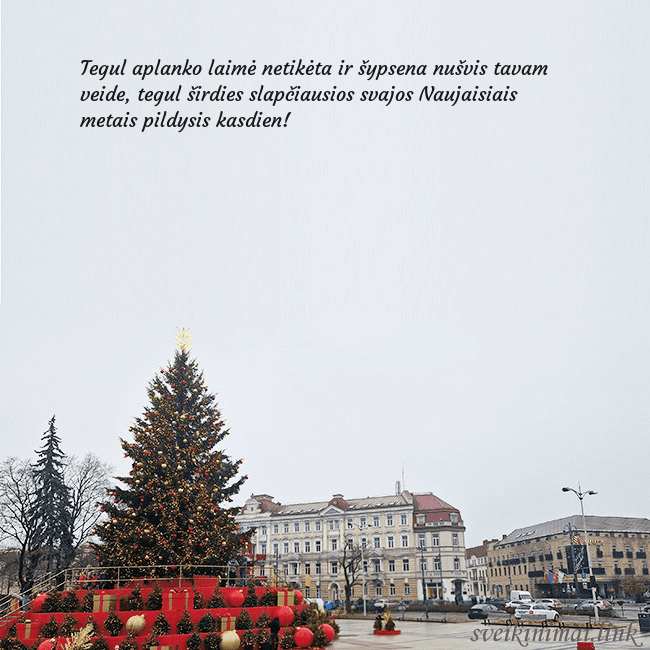 Vilniaus kalėdinė eglutė 2025