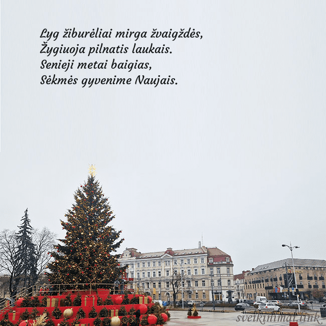 Vilniaus kalėdinė eglutė 2025