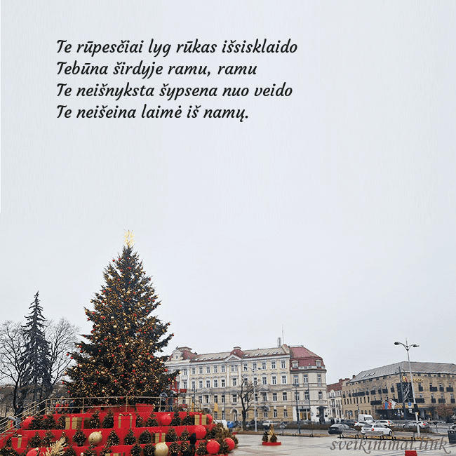 Vilniaus kalėdinė eglutė 2025