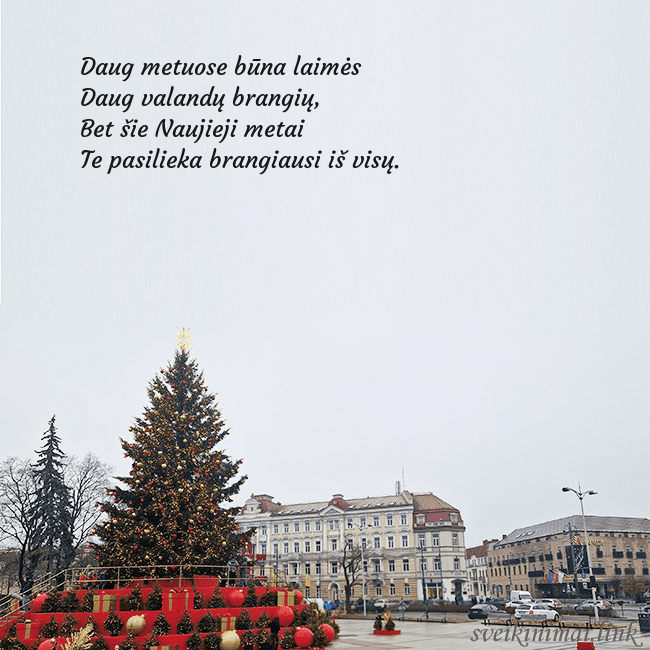 Vilniaus kalėdinė eglutė 2025