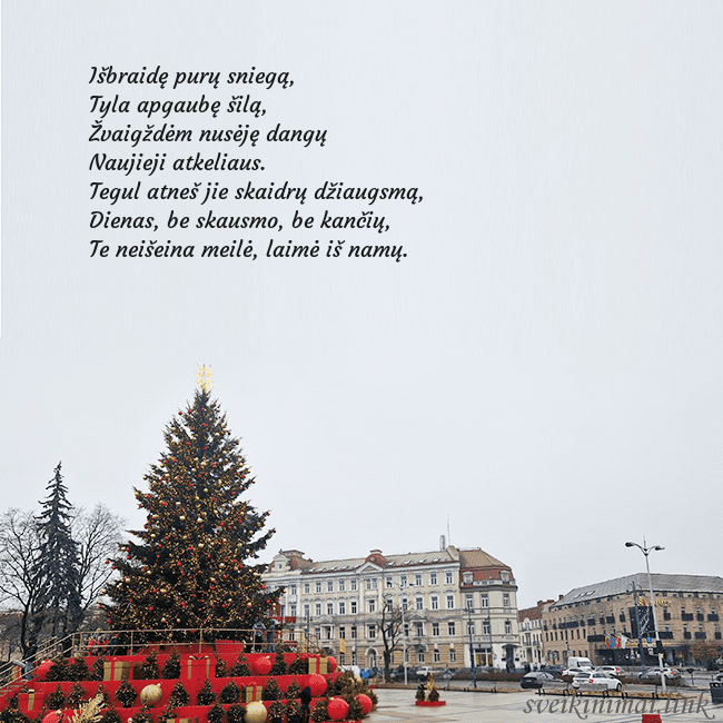 Vilniaus kalėdinė eglutė 2025