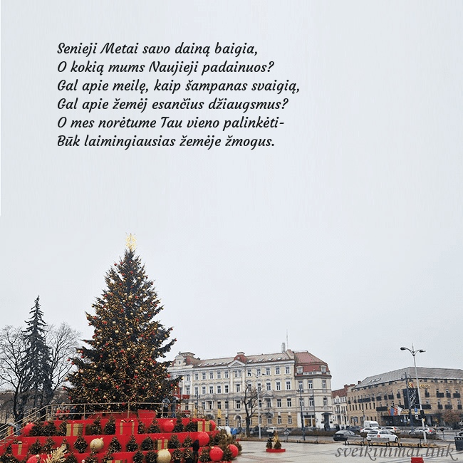 Vilniaus kalėdinė eglutė 2025