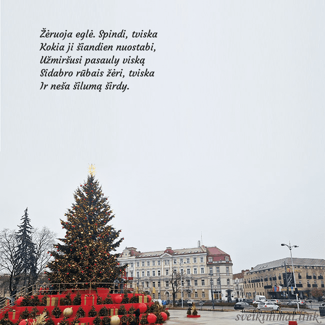 Vilniaus kalėdinė eglutė 2025