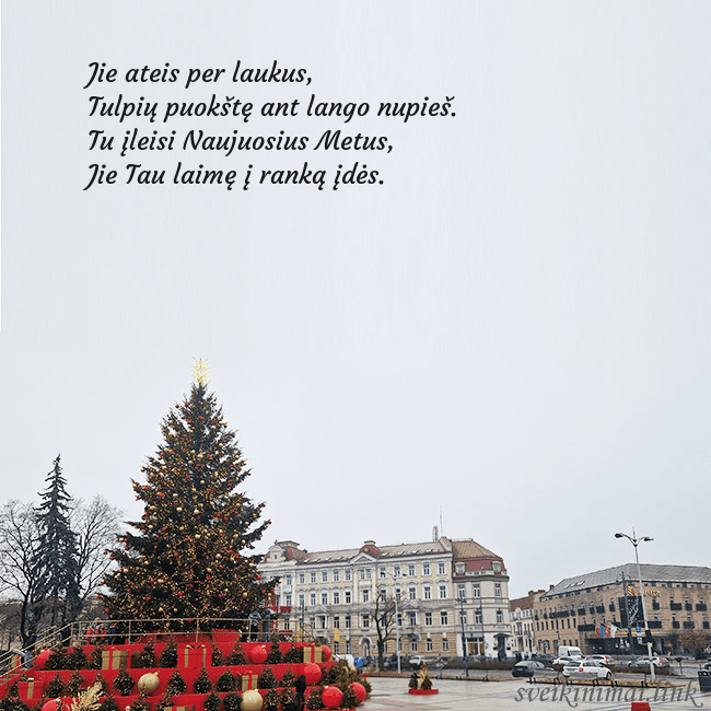 Vilniaus kalėdinė eglutė 2025