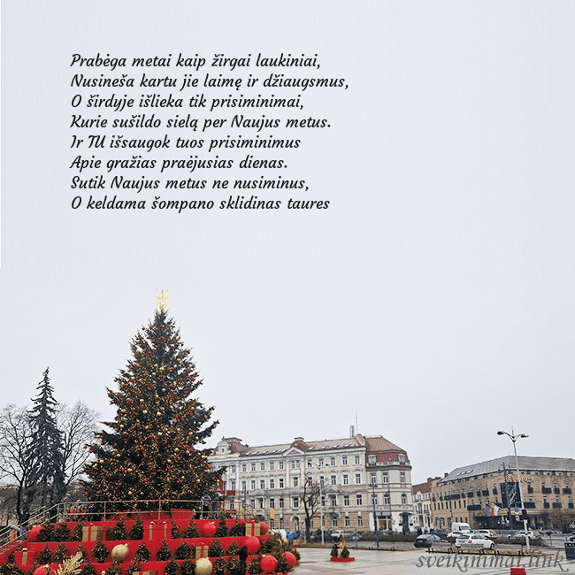 Vilniaus kalėdinė eglutė 2025