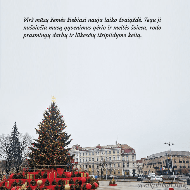 Vilniaus kalėdinė eglutė 2025