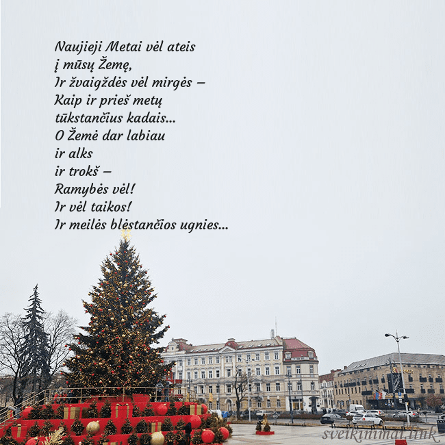 Vilniaus kalėdinė eglutė 2025