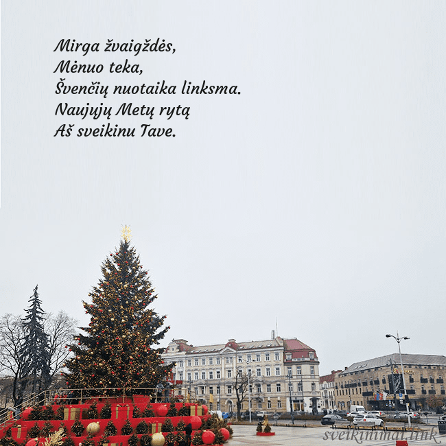 Vilniaus kalėdinė eglutė 2025