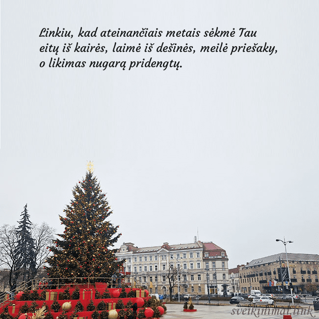 Vilniaus kalėdinė eglutė 2025