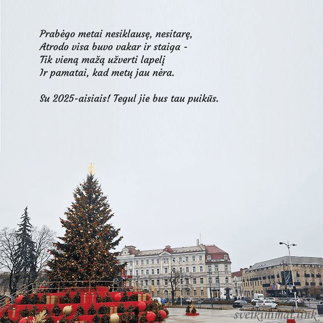 Vilniaus kalėdinė eglutė 2025