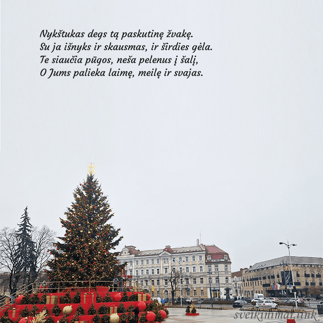 Vilniaus kalėdinė eglutė 2025