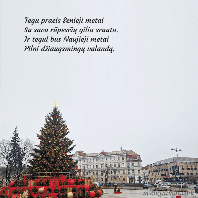 Vilniaus kalėdinė eglutė 2025