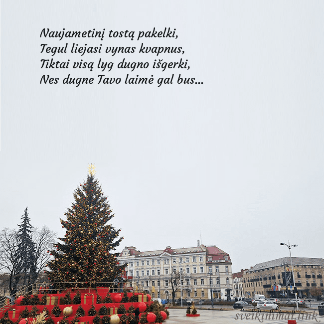 Vilniaus kalėdinė eglutė 2025
