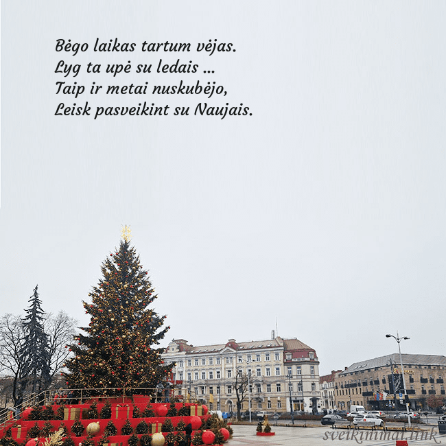 Vilniaus kalėdinė eglutė 2025