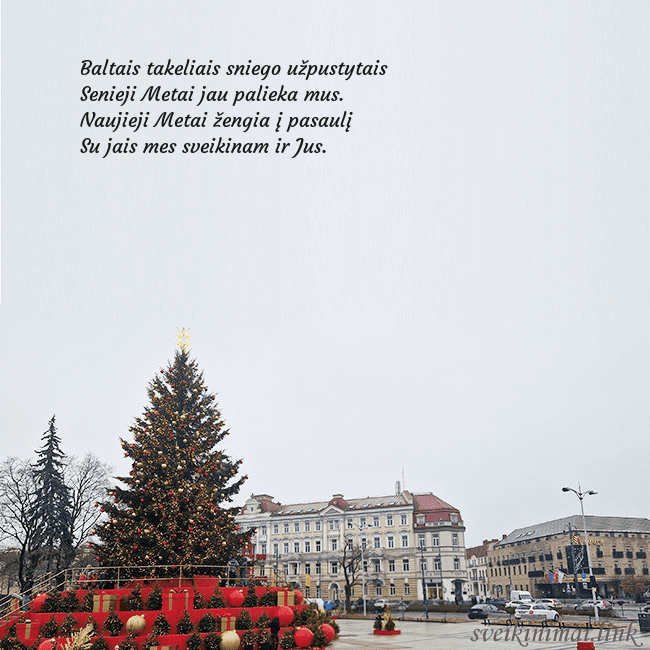 Vilniaus kalėdinė eglutė 2025