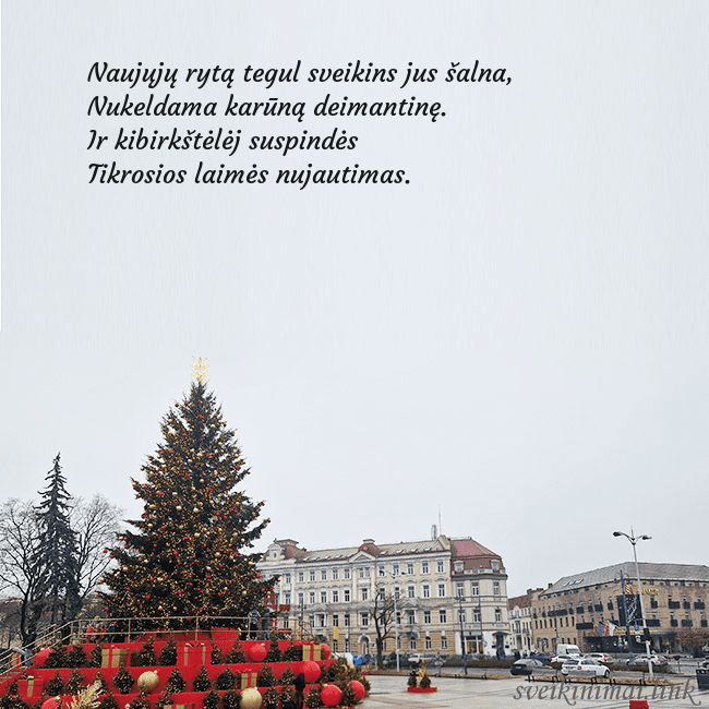 Vilniaus kalėdinė eglutė 2025