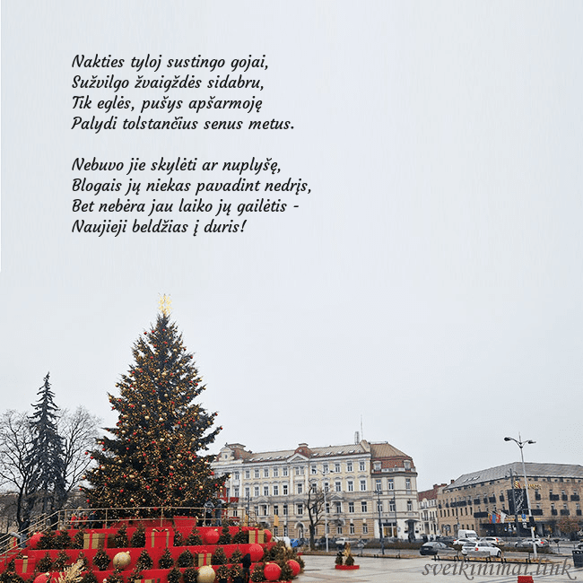 Vilniaus kalėdinė eglutė 2025