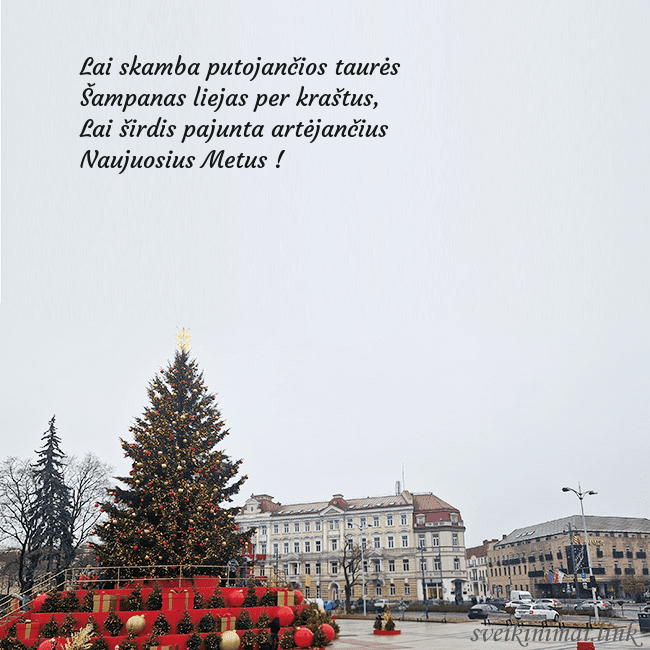 Vilniaus kalėdinė eglutė 2025