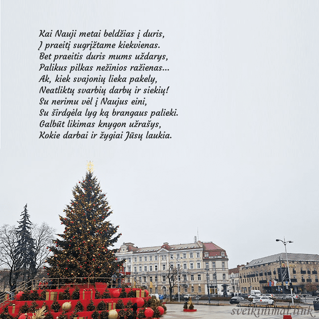 Vilniaus kalėdinė eglutė 2025