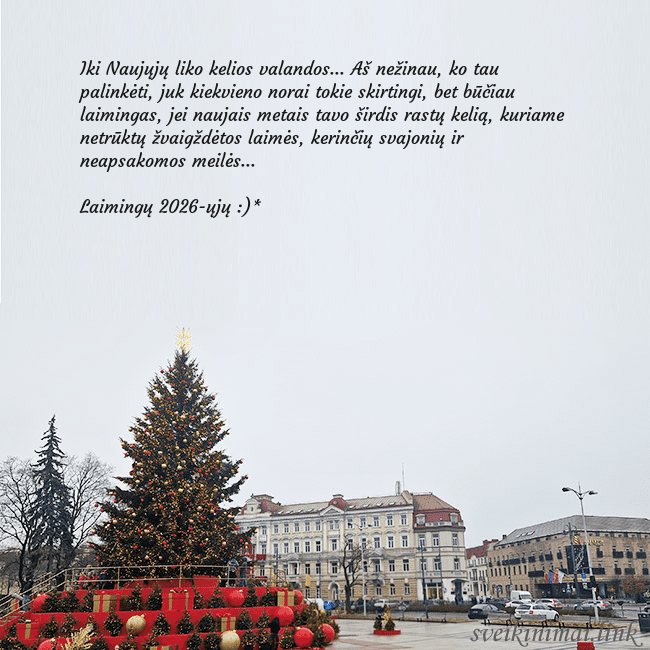 Vilniaus kalėdinė eglutė 2025