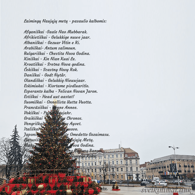 Vilniaus kalėdinė eglutė 2025