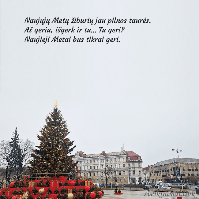 Vilniaus kalėdinė eglutė 2025