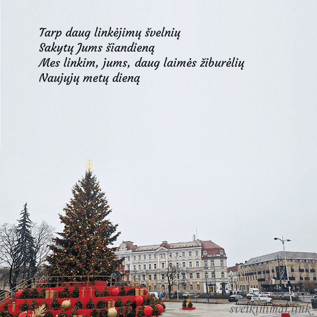 Vilniaus kalėdinė eglutė 2025