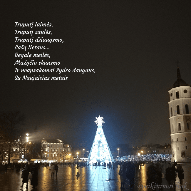 Atvirukas Kalėdos Vilniuje, Naujieji metai