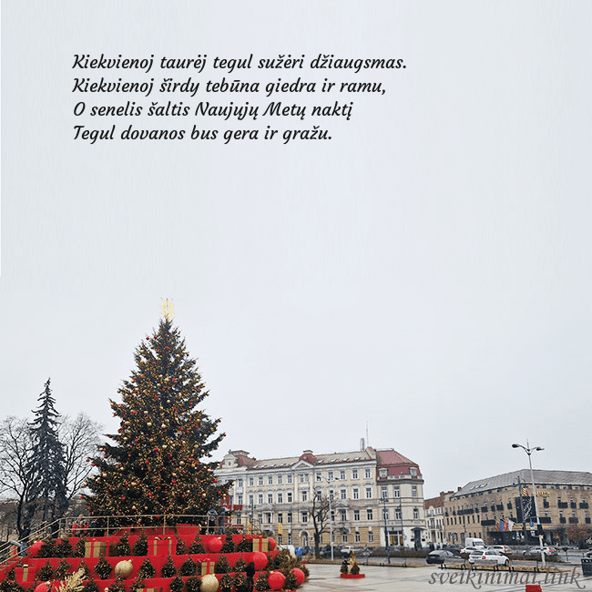 Vilniaus kalėdinė eglutė 2025