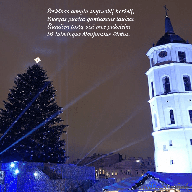 Vilniaus eglutė 2023 Šerkšnas dengia svyruoklį berželį,
Sniegas puoši Vilniaus eglutė 2023