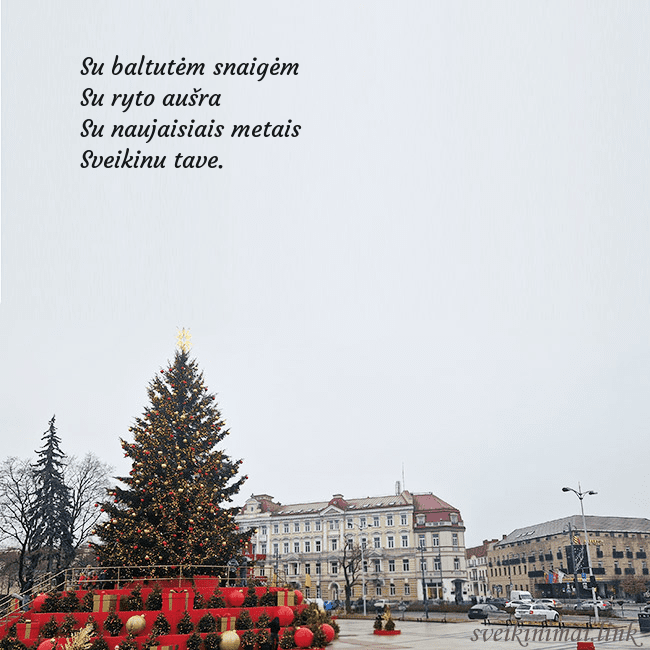 Vilniaus kalėdinė eglutė 2025