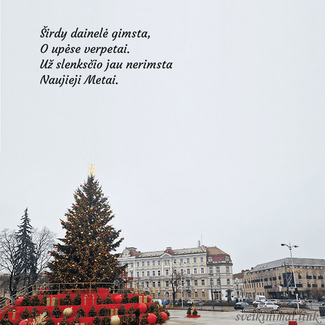 Vilniaus kalėdinė eglutė 2025