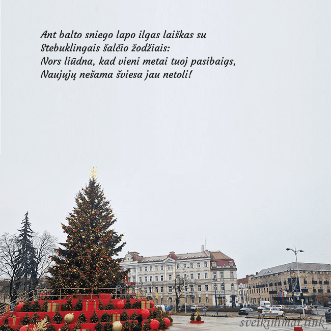 Vilniaus kalėdinė eglutė 2025