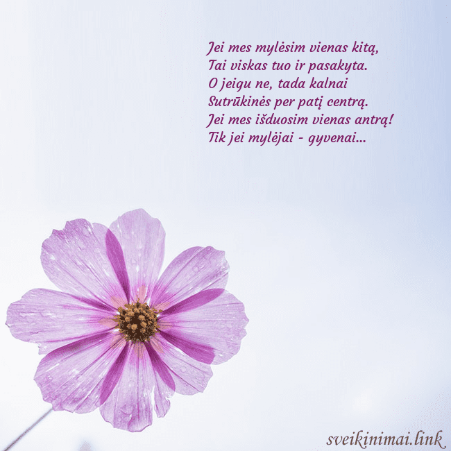 Elektroninė atvirutė su violetine gėle Jei mes mylėsim vienas kitą,
Tai viskas tuo ir pa Elektroninė atvirutė su violetine gėle