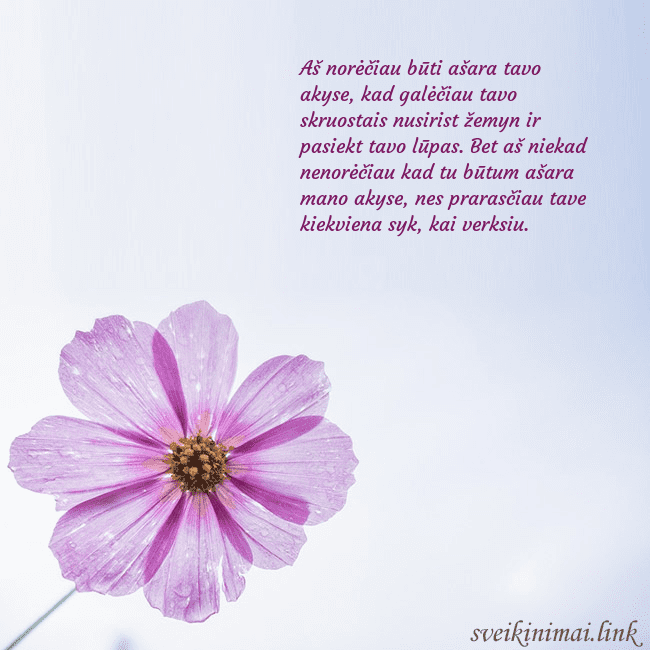 Elektroninė atvirutė su violetine gėle Aš norėčiau būti ašara tavo akyse, kad galėčiau ta Elektroninė atvirutė su violetine gėle