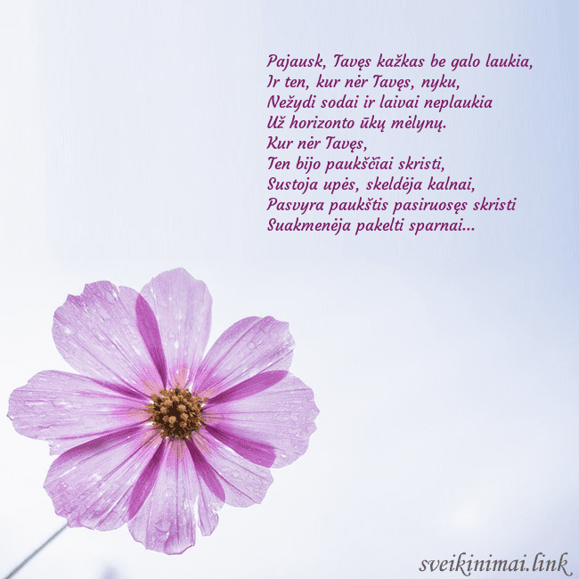 Elektroninė atvirutė su violetine gėle Pajausk, Tavęs kažkas be galo laukia,
Ir ten, kur Elektroninė atvirutė su violetine gėle