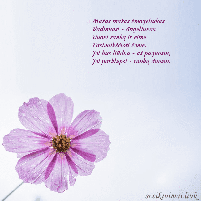 Elektroninė atvirutė su violetine gėle Mažas mažas žmogeliukas
Vadinuosi - Angeliukas.
D Elektroninė atvirutė su violetine gėle