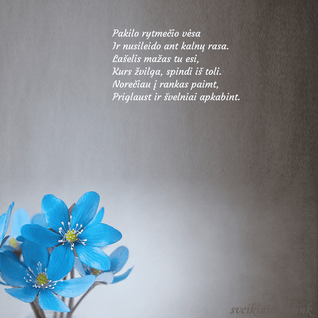 Atvirukas su žibuoklėmis Pakilo rytmečio vėsa
Ir nusileido ant kalnų rasa. Atvirukas su žibuoklėmis