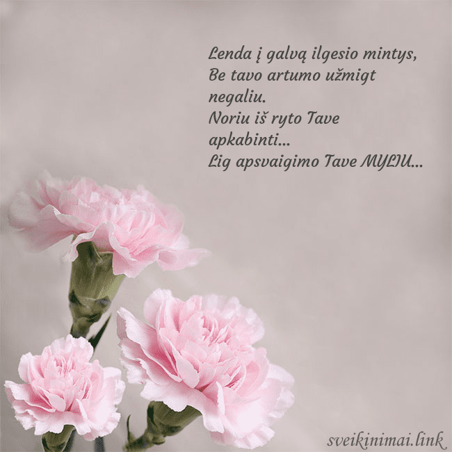 Atvirukas su rožiniais gvazdikais