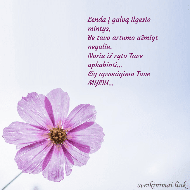 Elektroninė atvirutė su violetine gėle Lenda į galvą ilgesio mintys,
Be tavo artumo užmi Elektroninė atvirutė su violetine gėle