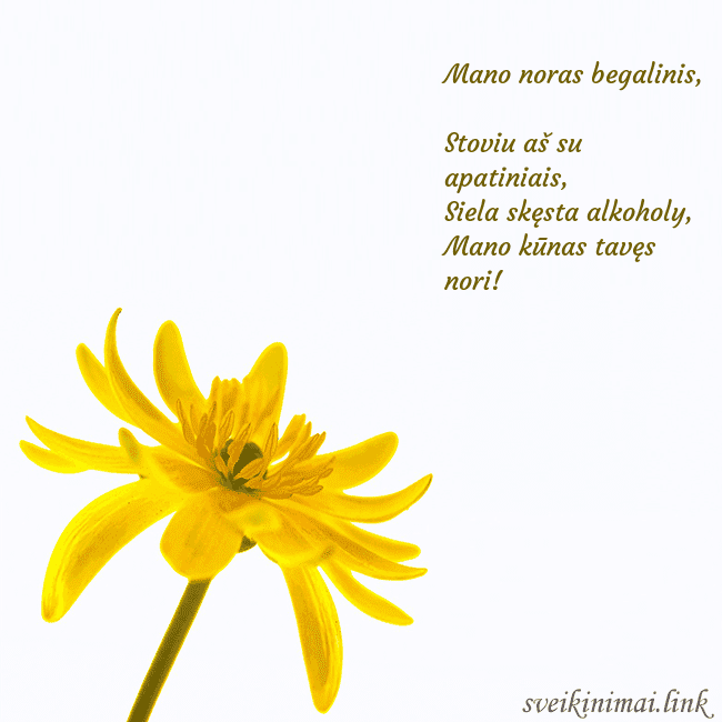 Atvirukas su geltona gėle