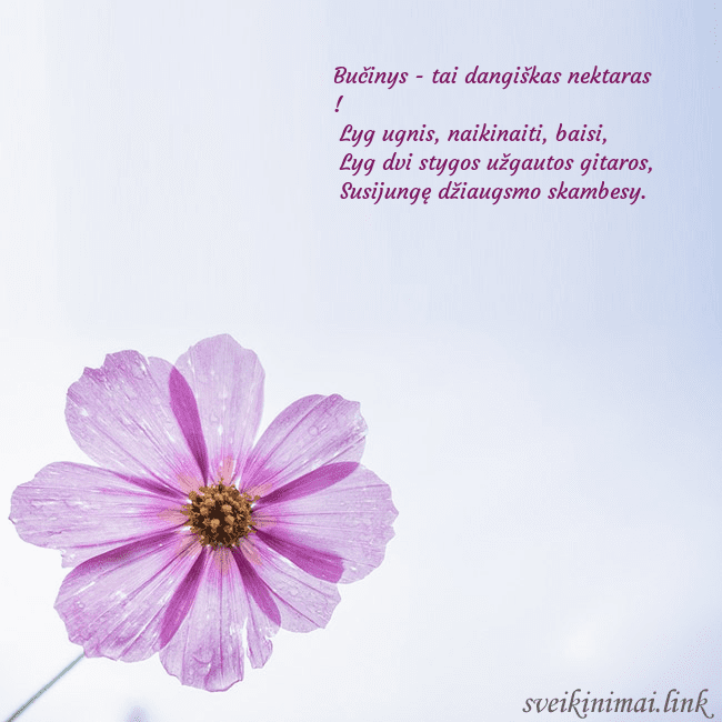 Elektroninė atvirutė su violetine gėle Bučinys - tai dangiškas nektaras !
Lyg ugnis, nai Elektroninė atvirutė su violetine gėle
