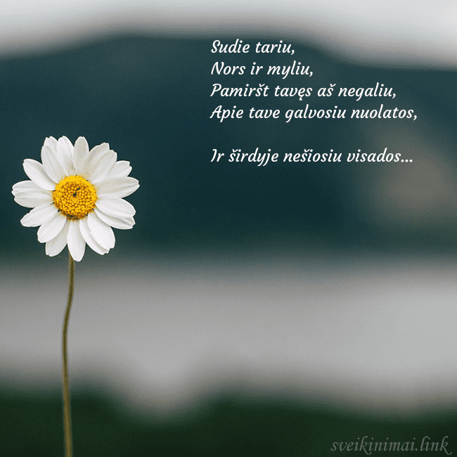 Elektroninis atvirukas su ramune Sudie tariu,
Nors ir myliu,
Pamiršt tavęs aš neg Elektroninis atvirukas su ramune
