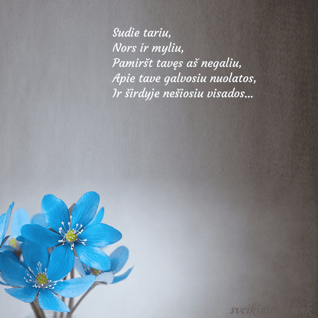 Atvirukas su žibuoklėmis Sudie tariu,
Nors ir myliu,
Pamiršt tavęs aš neg Atvirukas su žibuoklėmis