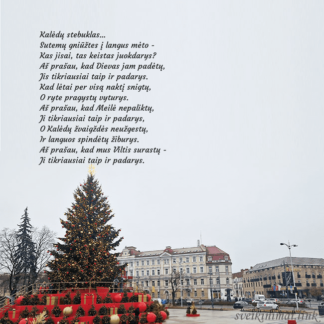 Vilniaus kalėdinė eglutė 2025